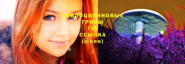 соль курить ск Алзамай