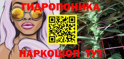 дживик Аша