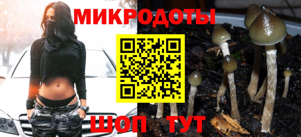 Псилоцибиновые грибы Psilocybine cubensis Бахчисарай