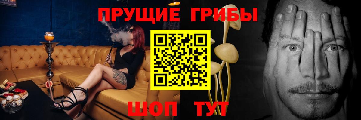 Бахчисарай  Галлюциногенные грибы мицелий  Вход с VPN 